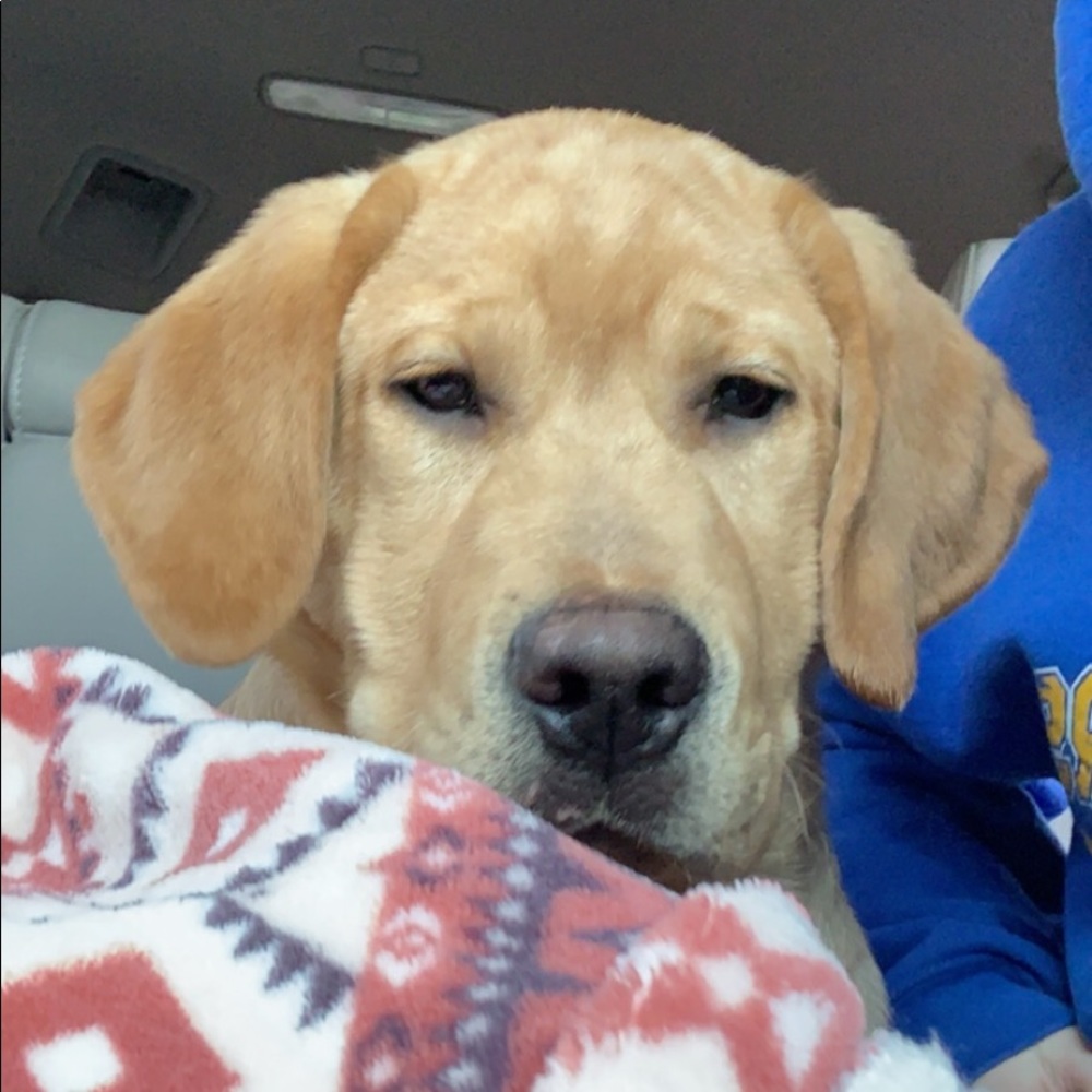 Meet your Posher, Kate